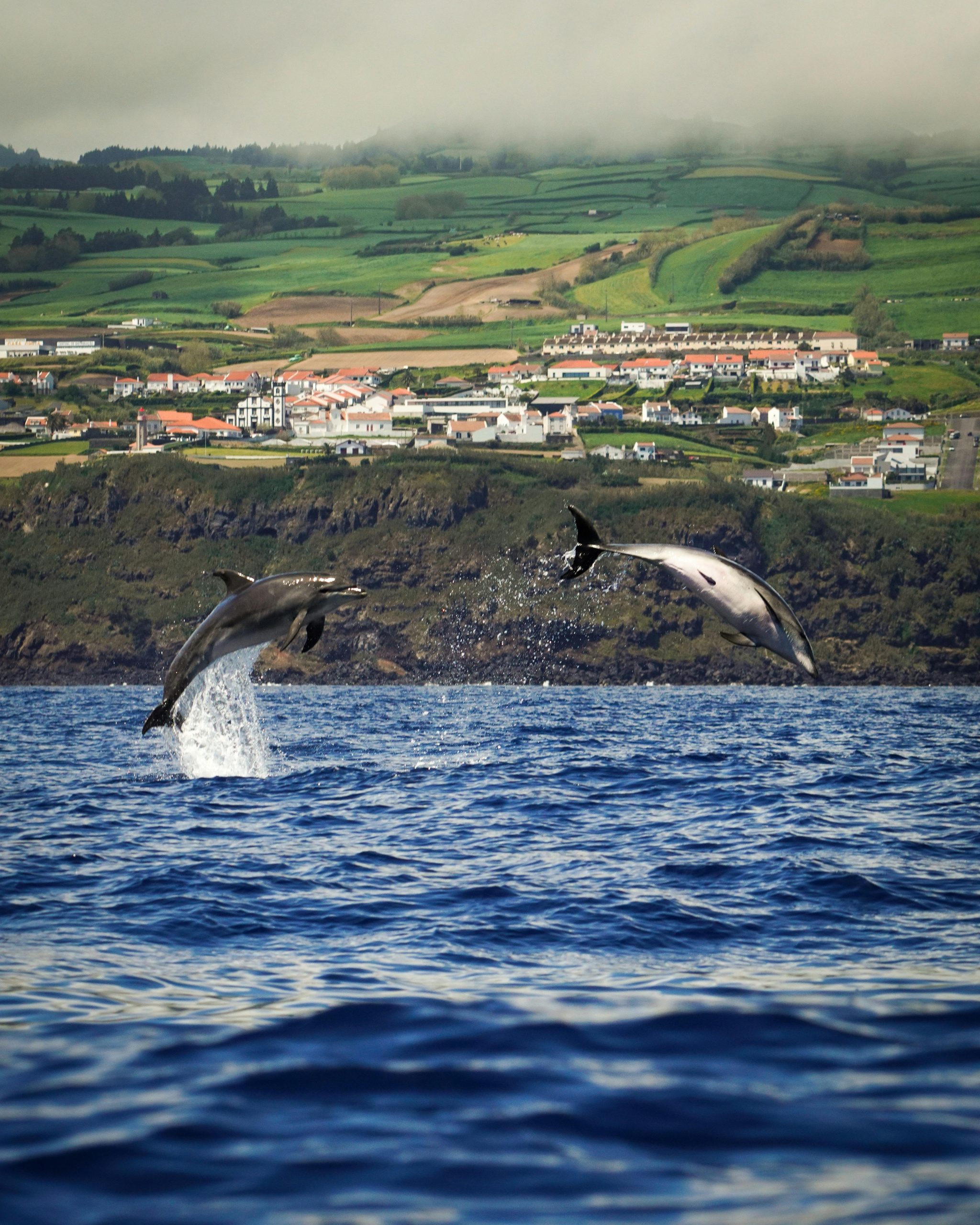 azores 2